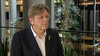 Ги Верхофстадт: "ЕС должен реформироваться, чтобы выжить"