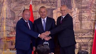 Польша и Румыния пытаются уговорить Турцию