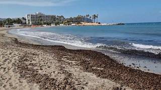 Аликанте: на знаменитом пляже запретили купаться из-за фекалий в воде 