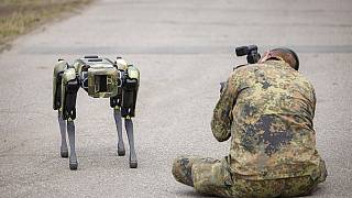 Робот-собака с форума "Армия-2022" похож на зарубежные аналоги - ВИДЕО