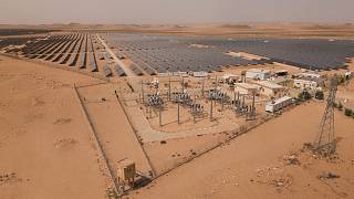 Не газом единым: Алжир инвестирует в солнечную энергетику и водород